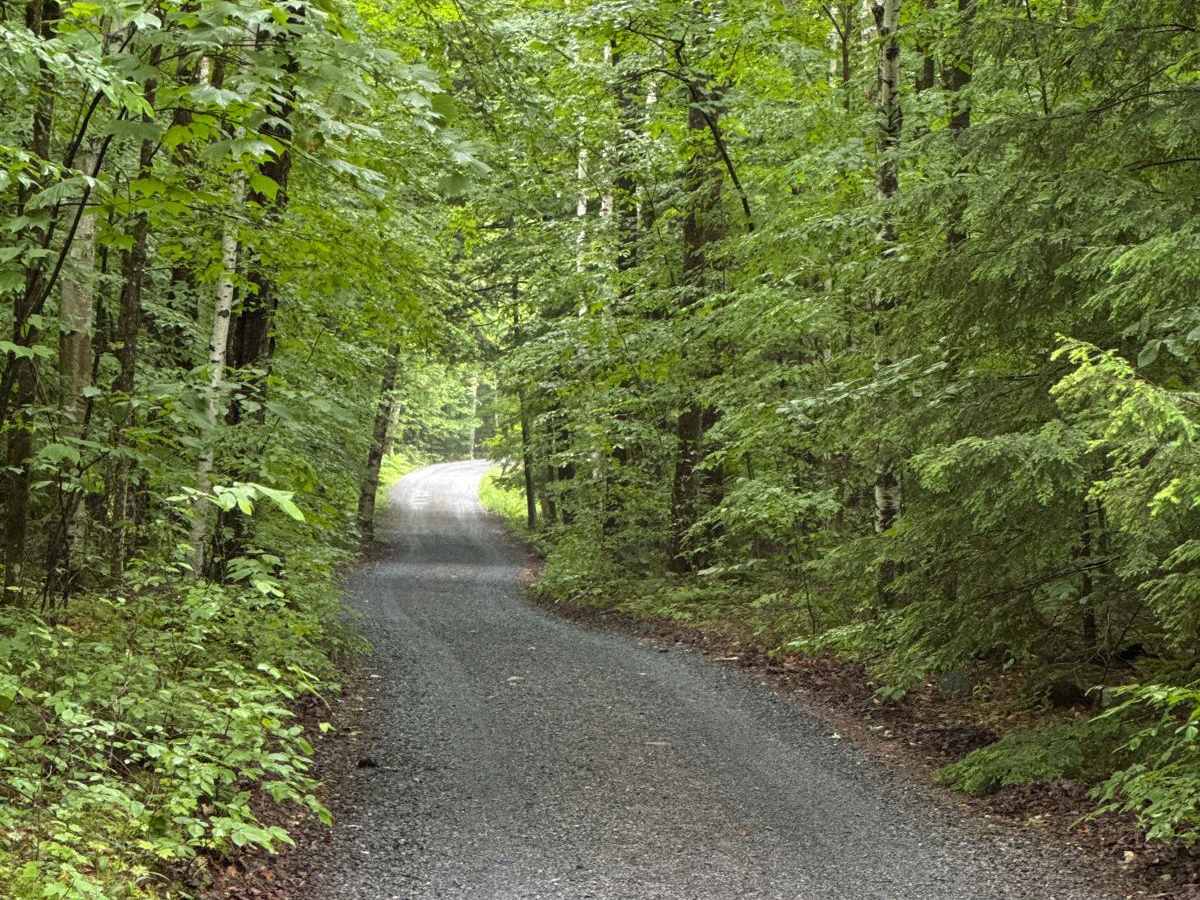 Dacy Clearing Road photo 3