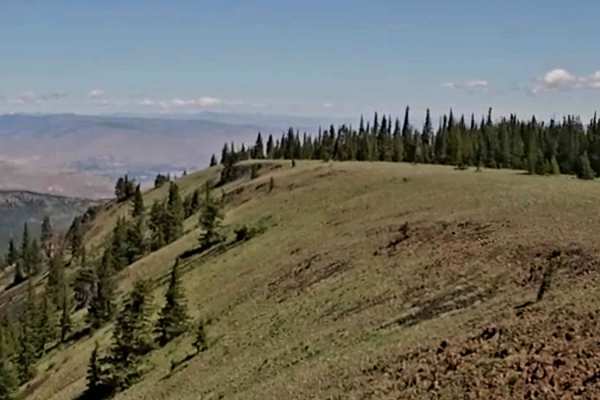 Naneum Ridge