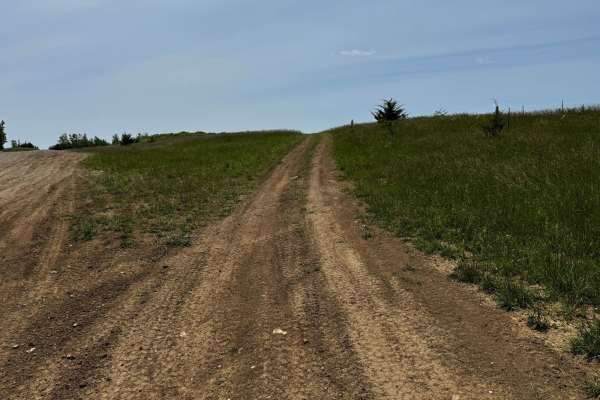 Green 7 Boundary Run