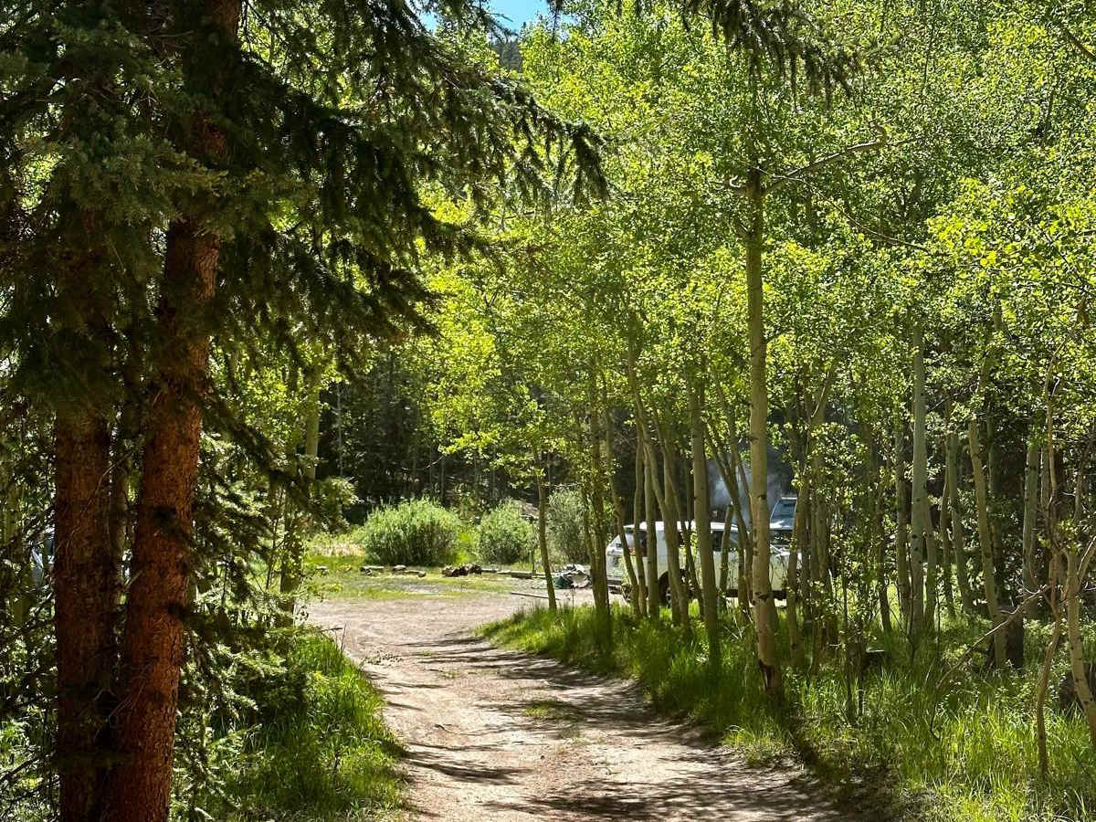 Lininger Ditch (FS 811A) photo 4