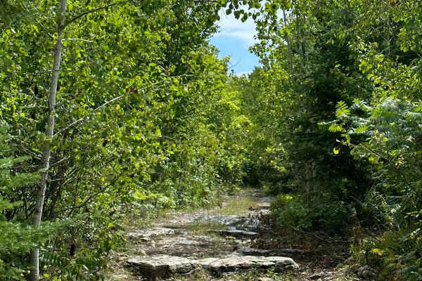ORV Trail - 36282