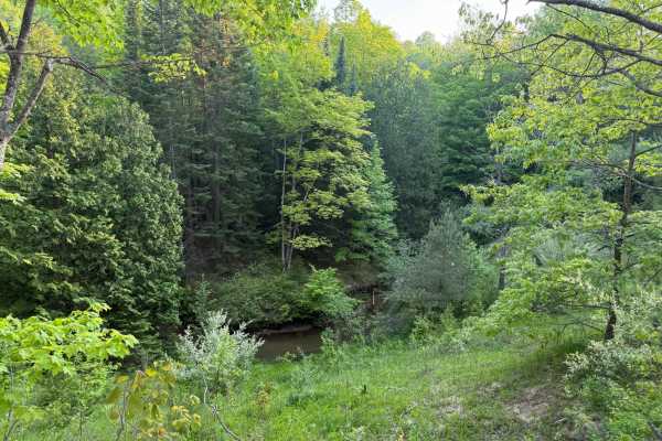 Silver Creek Trail