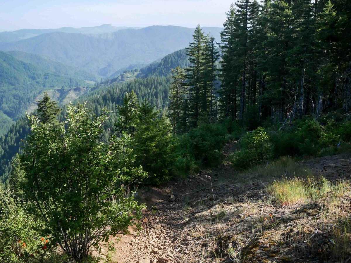 #41B trail photo