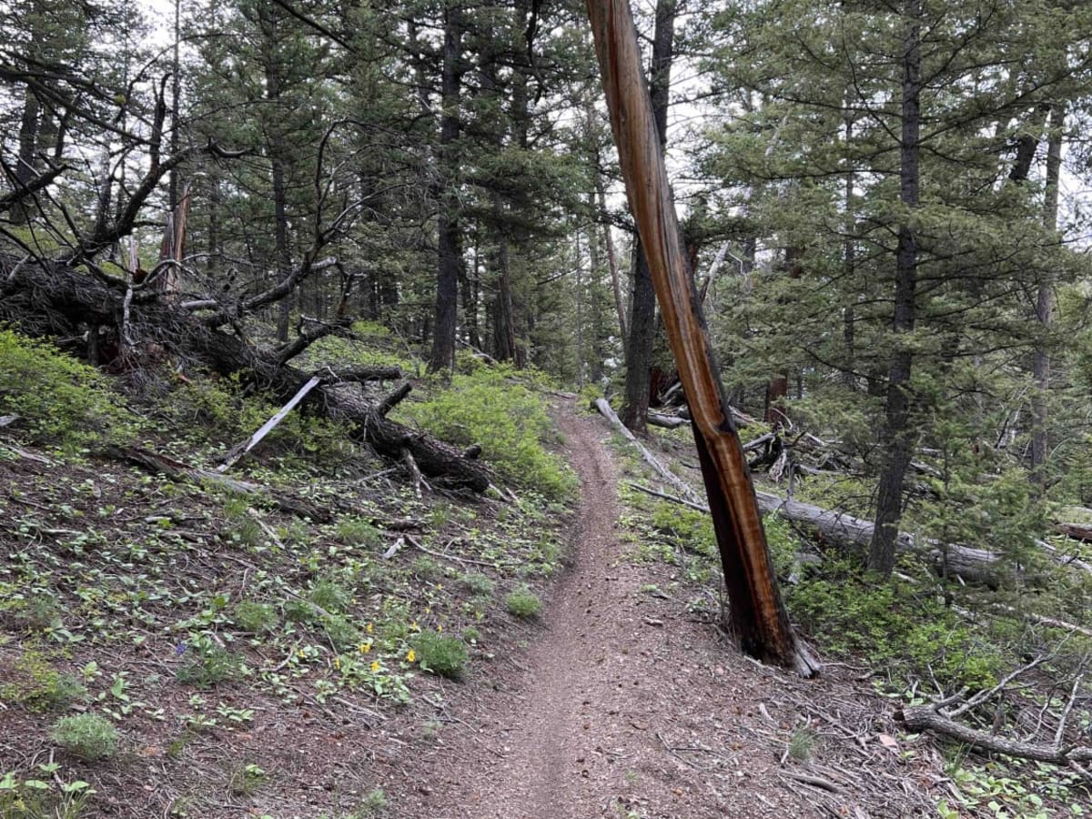 Rocky Creek photo 5