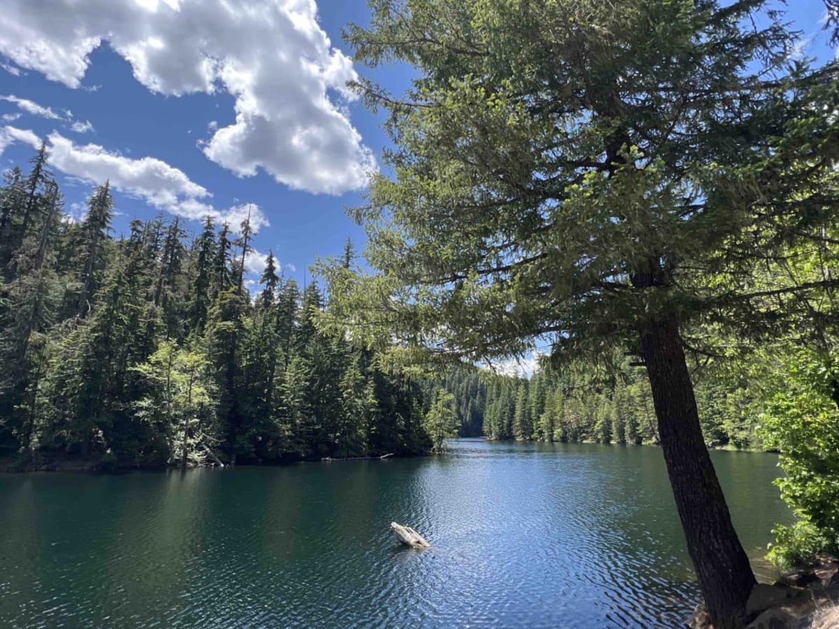 Harriet Lake 4630 trail photo