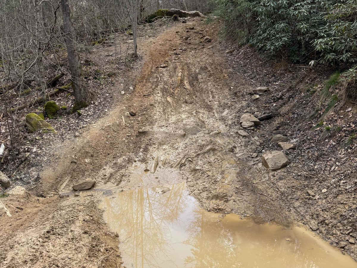 Trail 31 photo 5