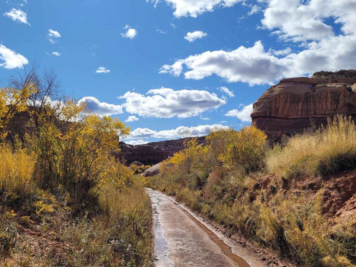 Lavender Canyon photo 3