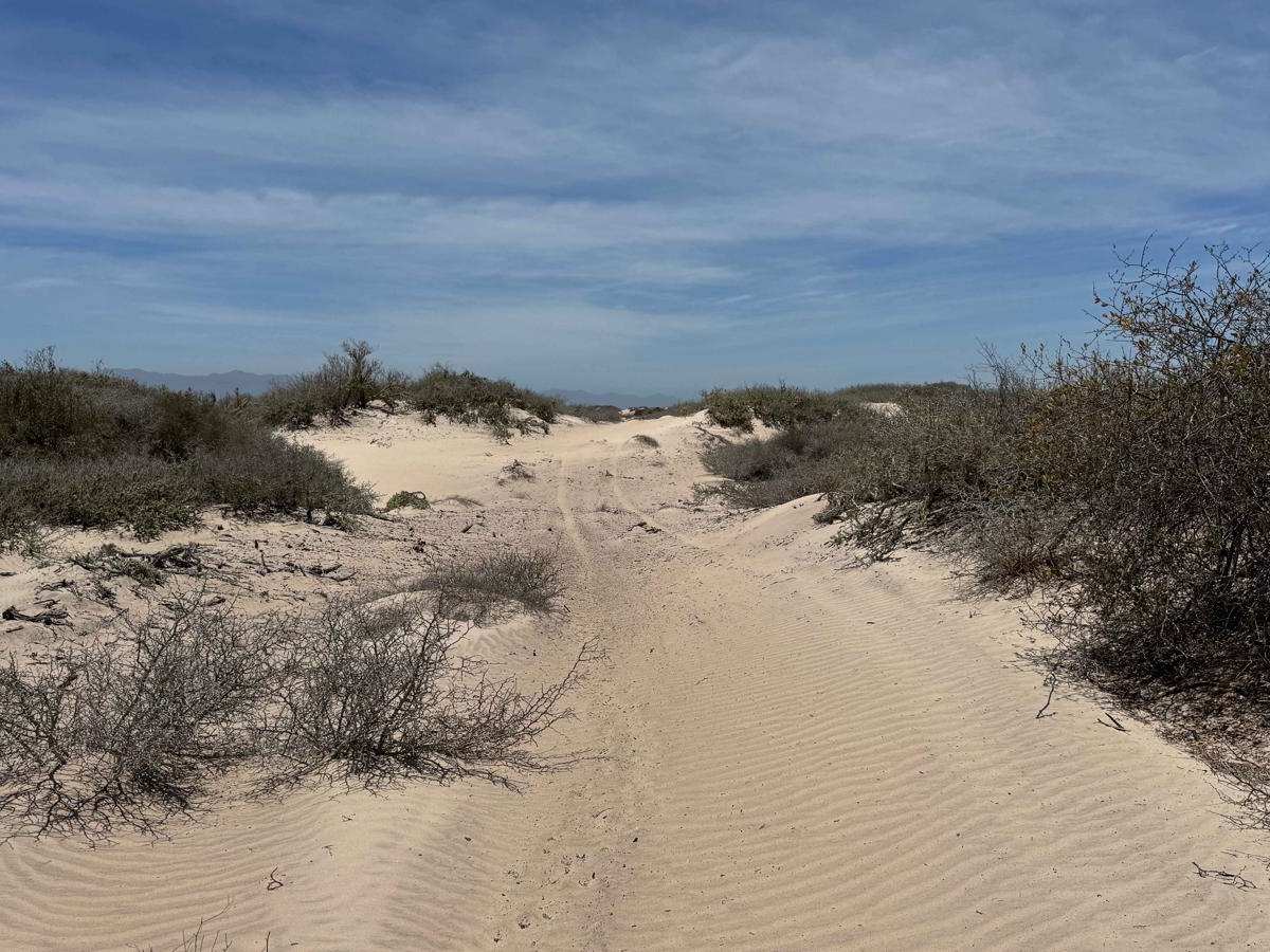 Guatamota Dunes trail photo