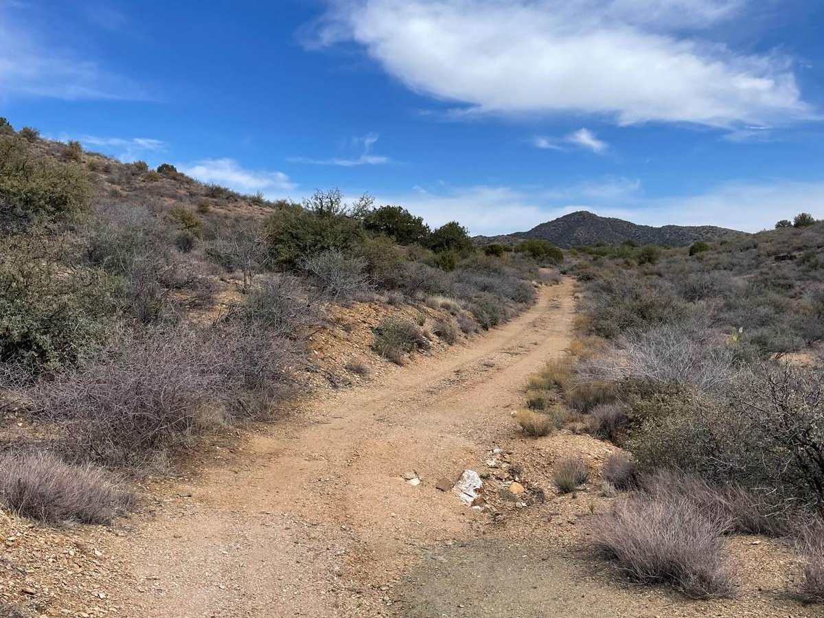 Mine Shaft Boulevard photo 4