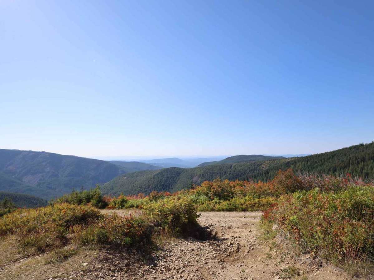 Lookout Mountain Road photo 2