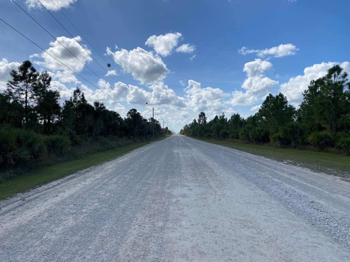 Everglades Boulevard photo 4