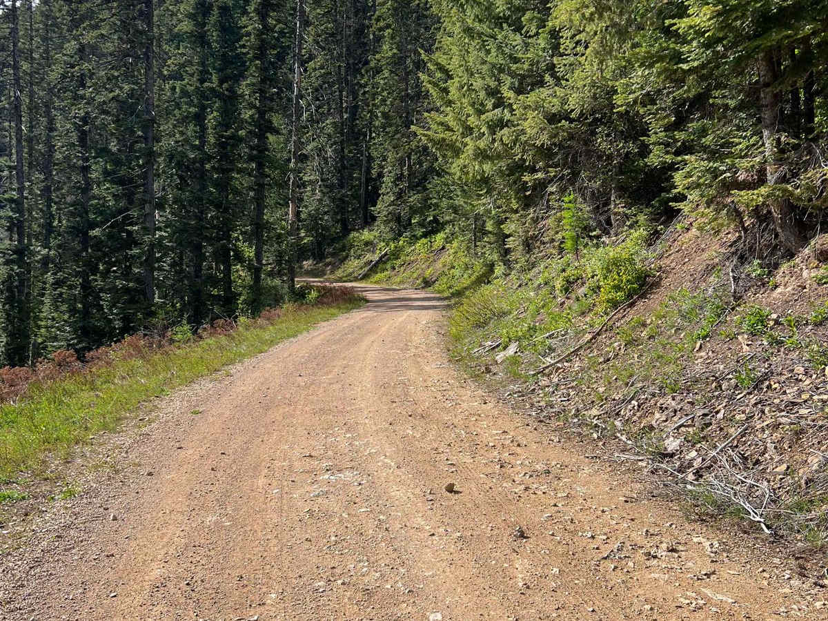 Canyon Fork Creek Road photo 3
