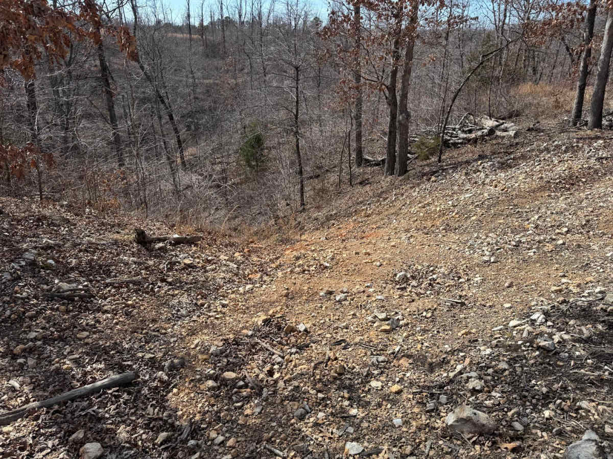 Red 388 trail photo