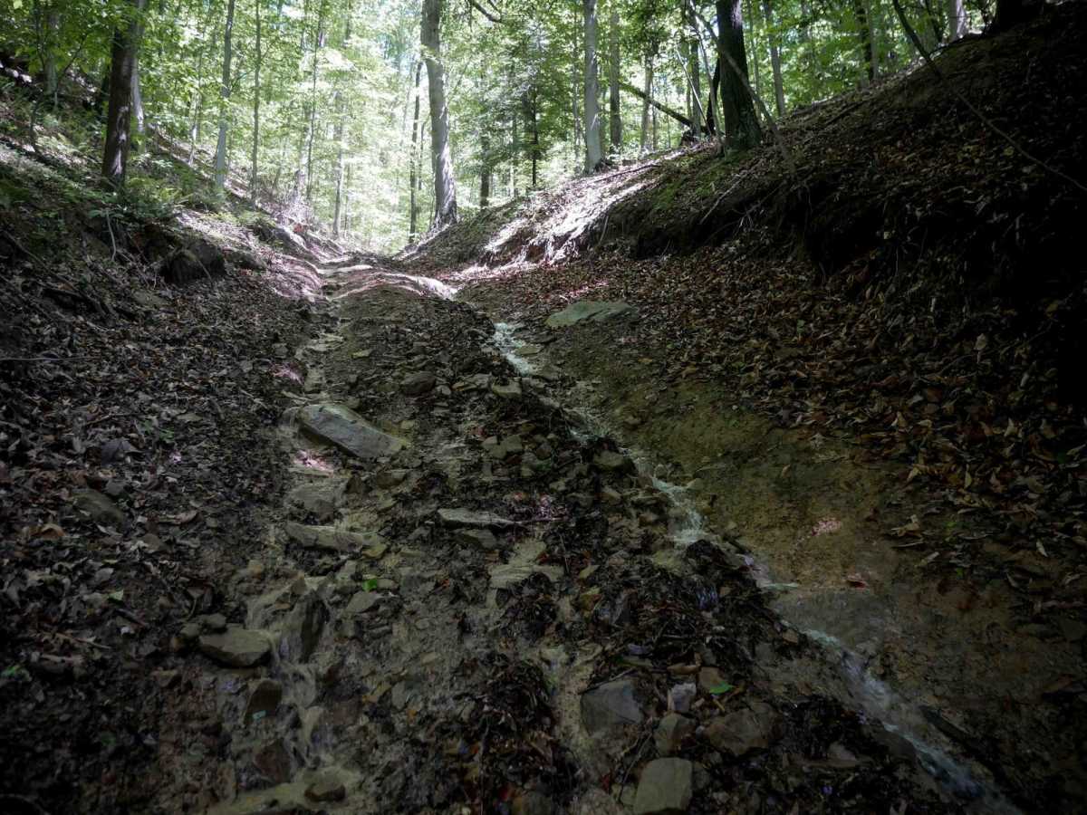 CC57 trail photo