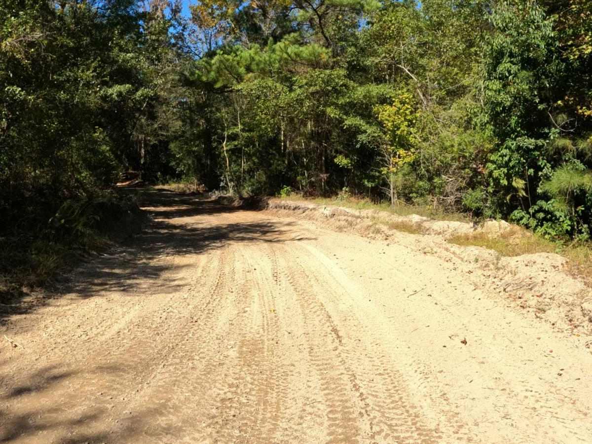 Jamey's Swamp Road photo 3
