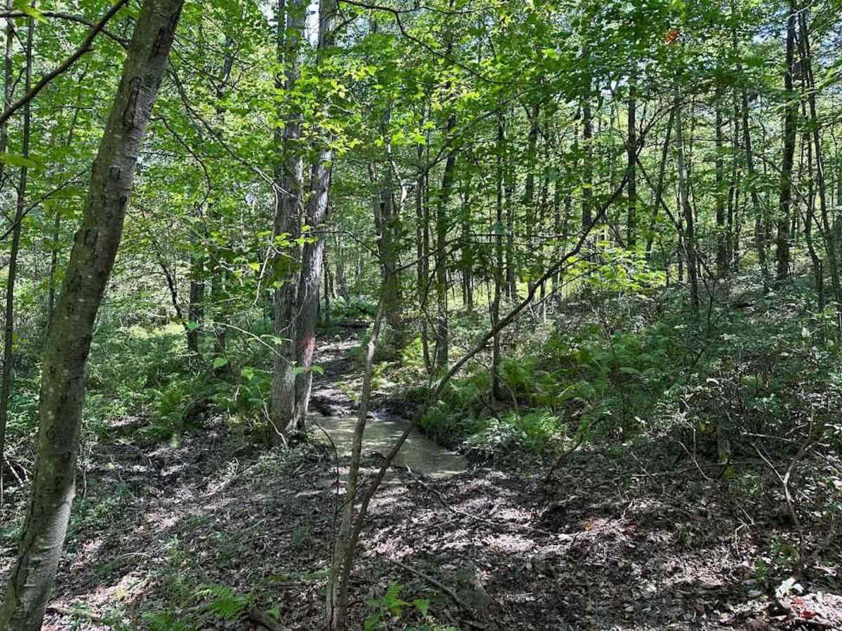 Red Single Track - A photo 2