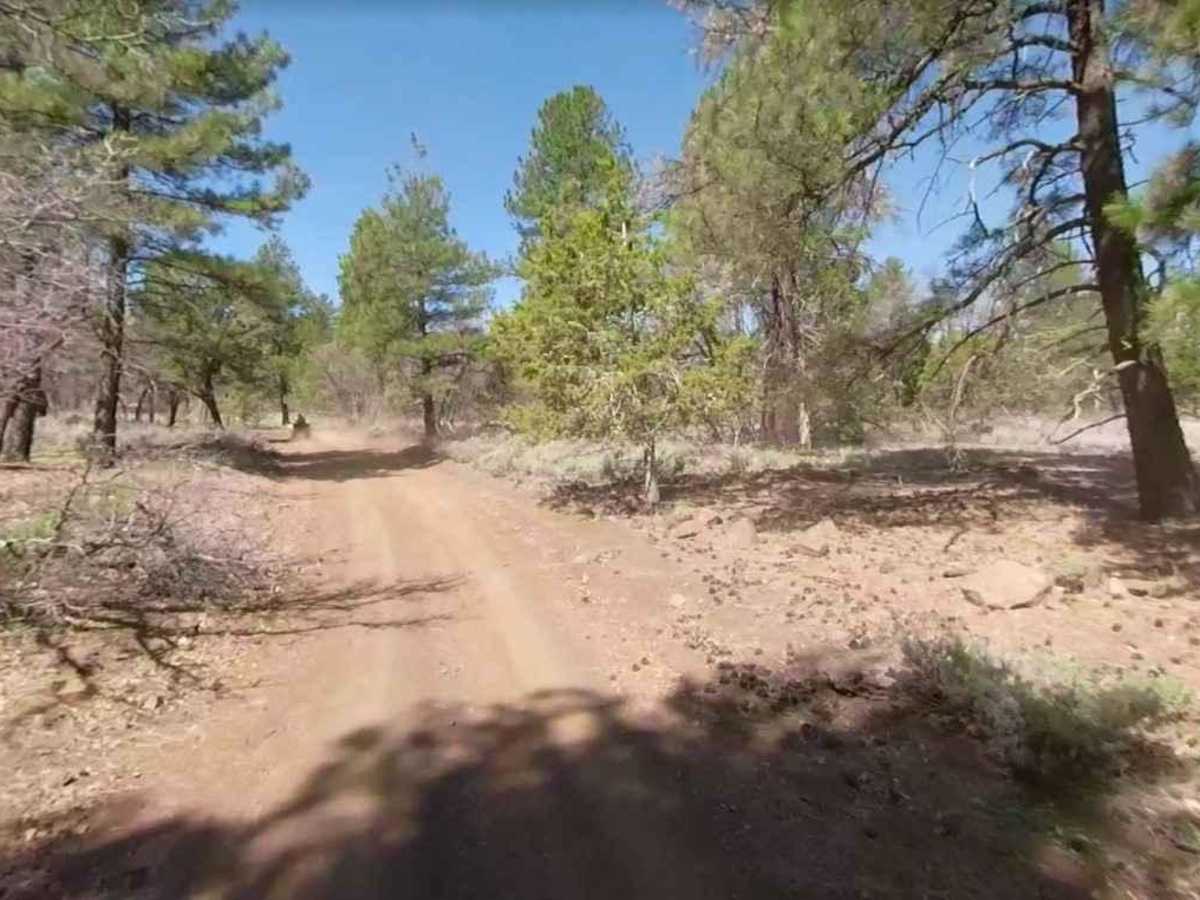 Nixon South Road BLM 1044 photo 3