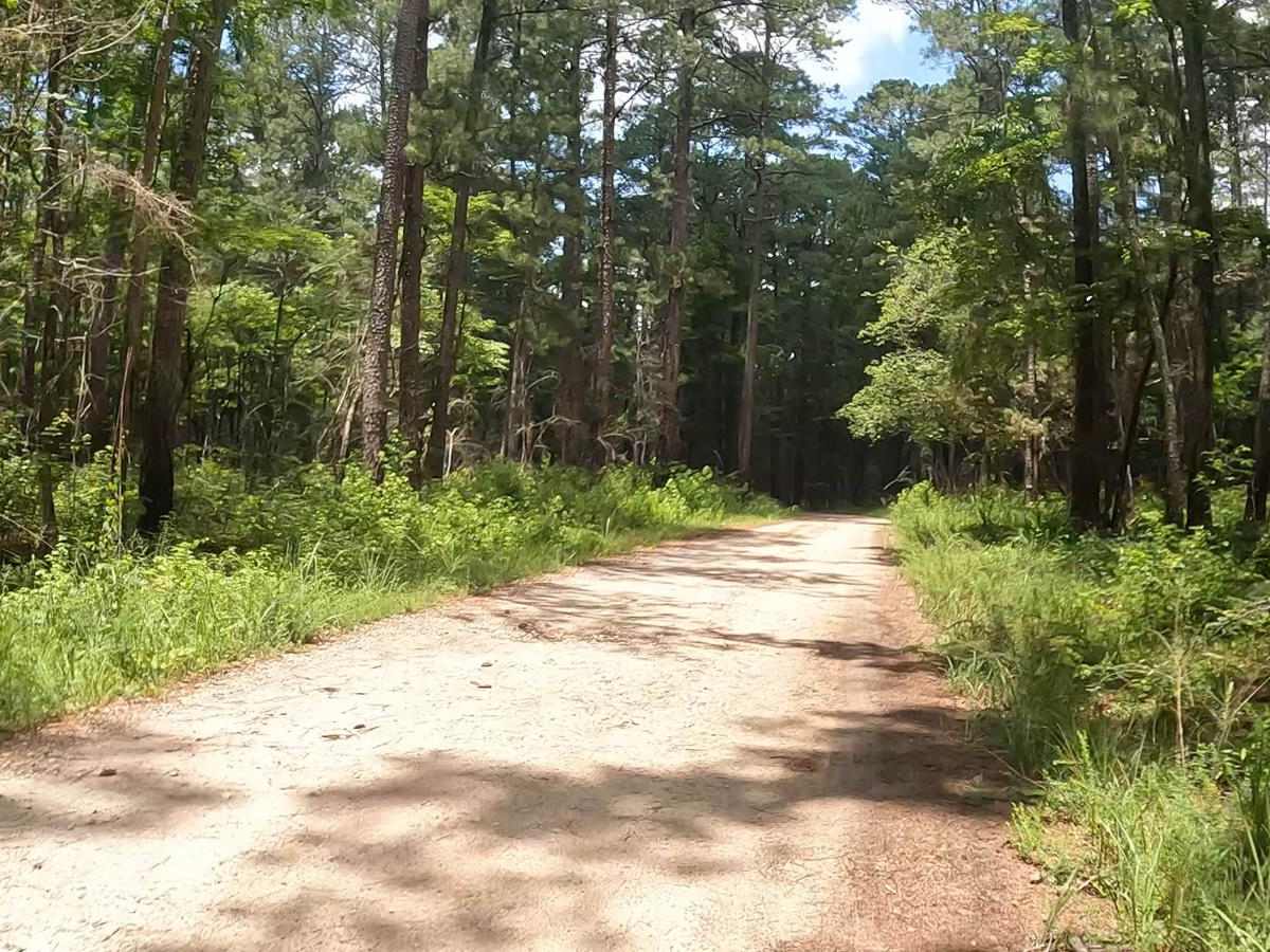 Penfield Hunt Camp Road photo 4