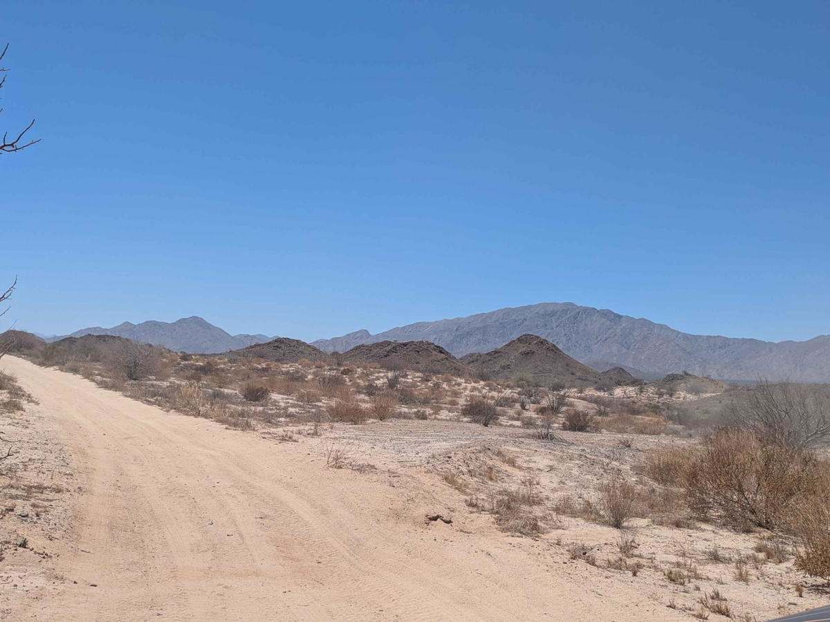 Cerros Norte de San Felipe photo 6