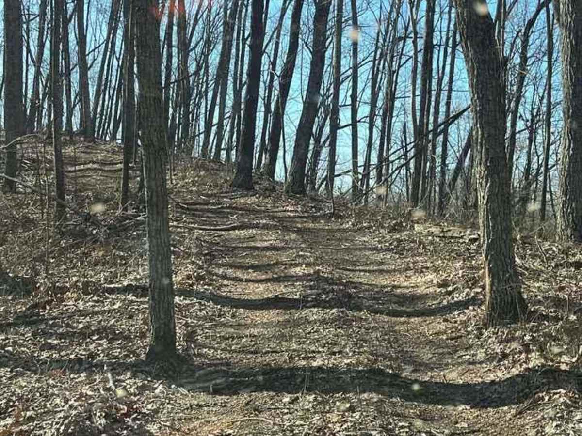Trail 27 photo 6