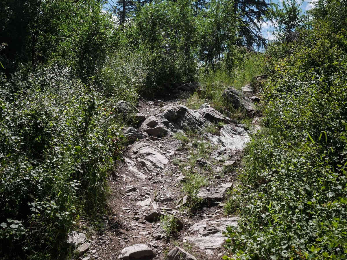 Canfield Mountain- Trail D photo 2