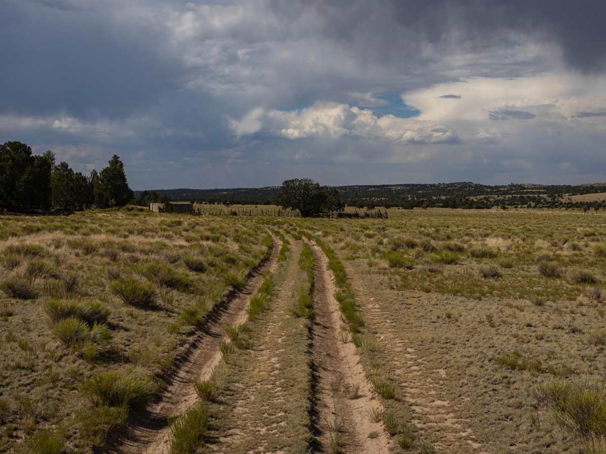 Pasture Waterline photo 4
