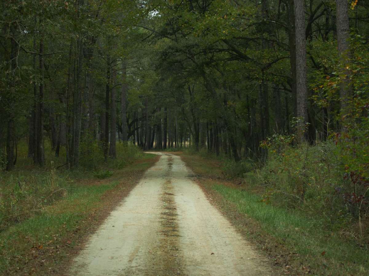 Donnelly WMA PT.2 photo 6