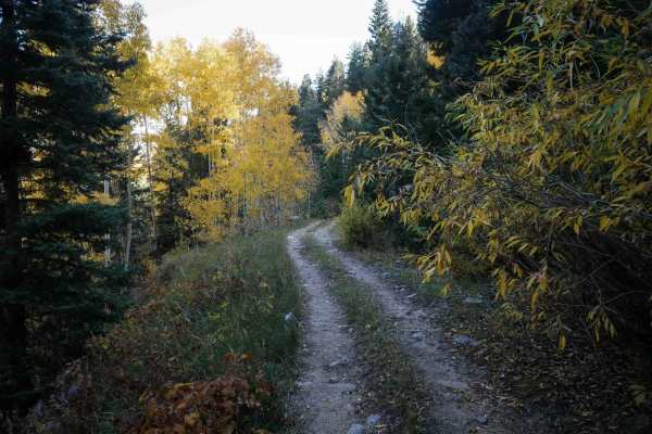 Horse Creek