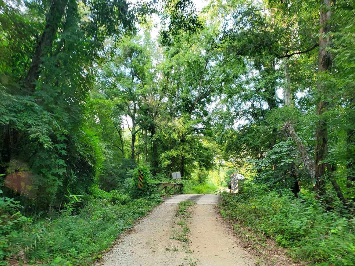 Francis Marion & Sumter National Forests Southern Adventure Route photo 2