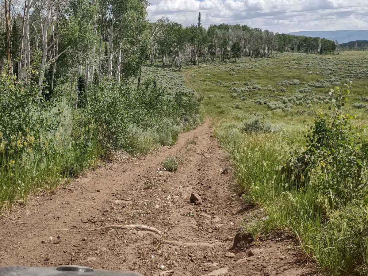 Dinosaur Spur One (FS 41227 & 41227B) trail photo