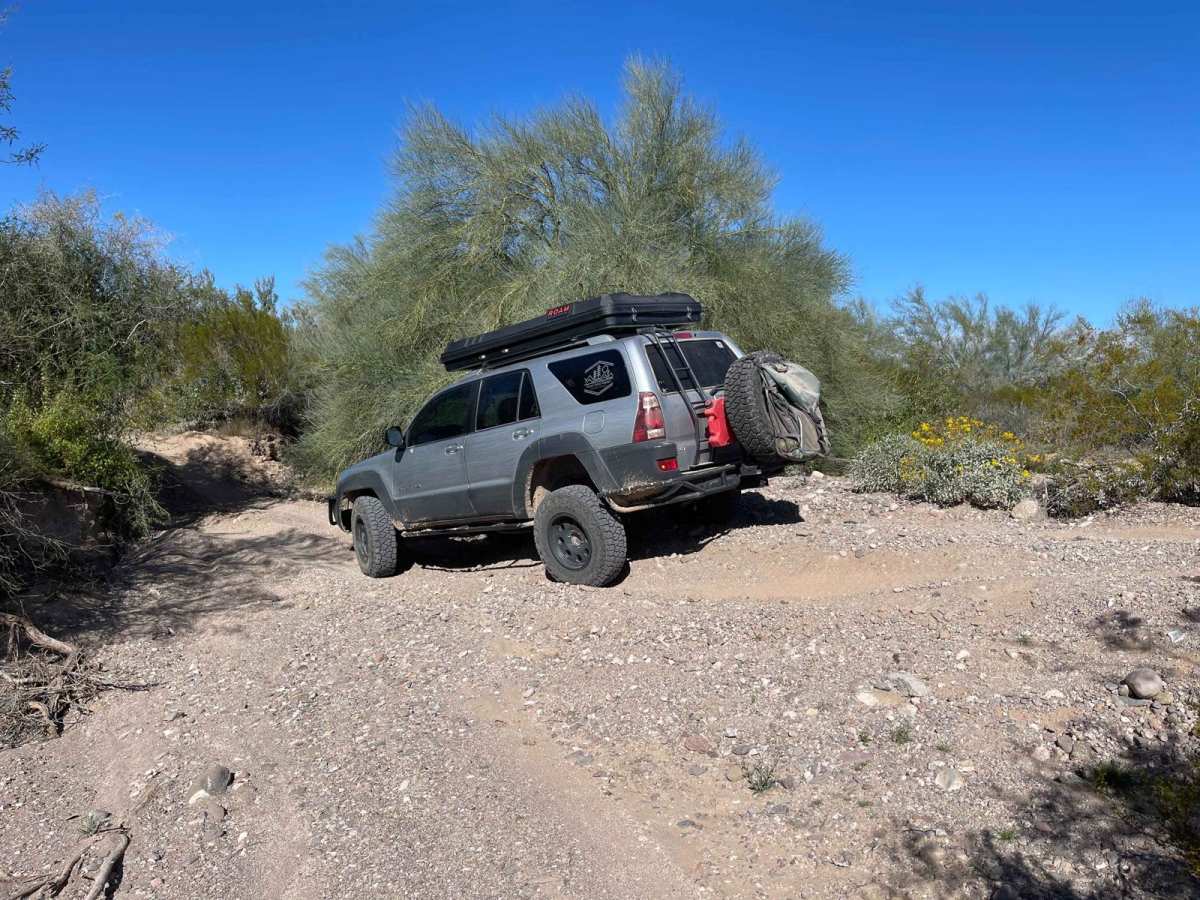 AZ Peace Trail Cactus in the Road to Red Raven photo 5