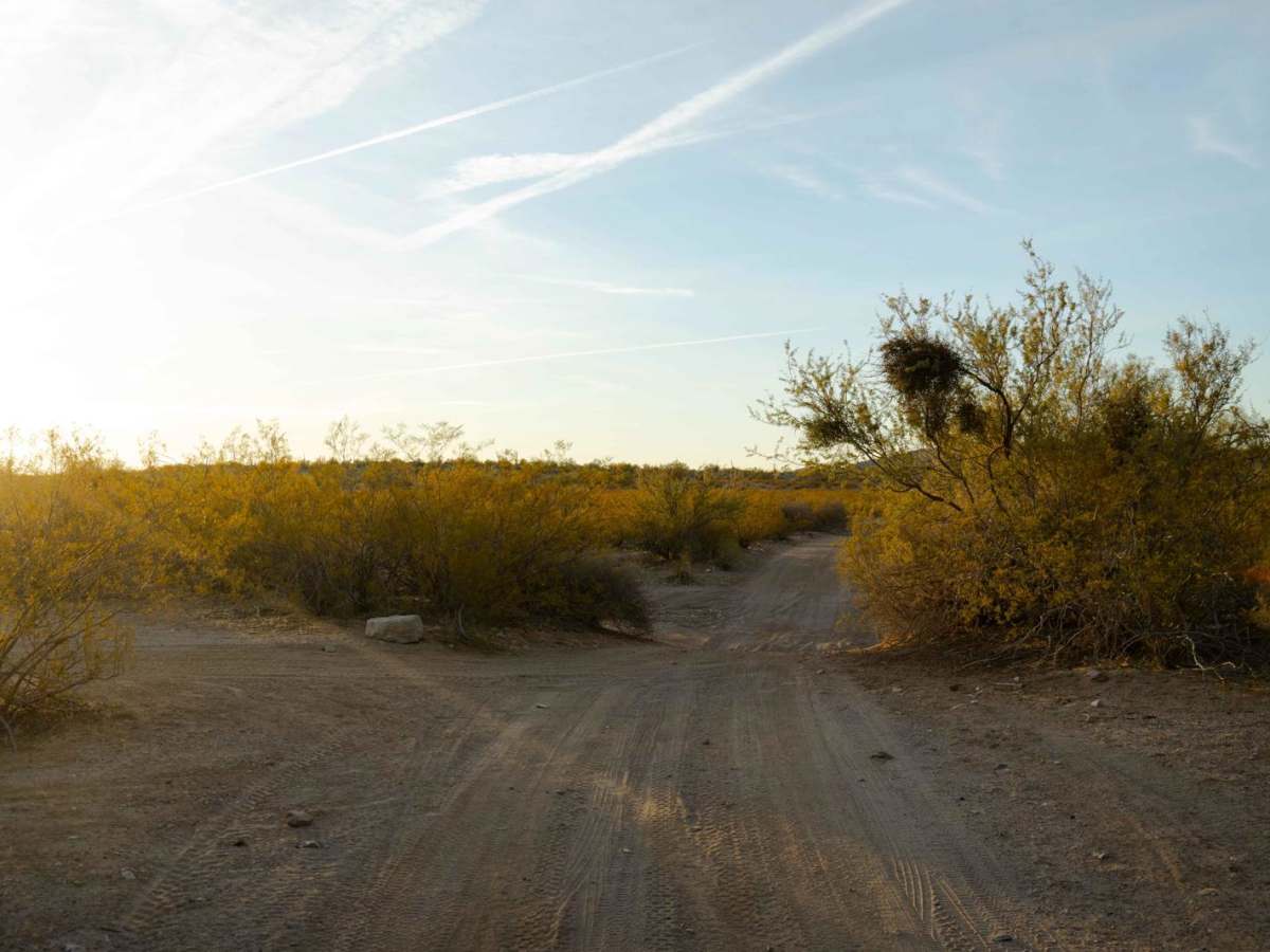 9113 trail photo