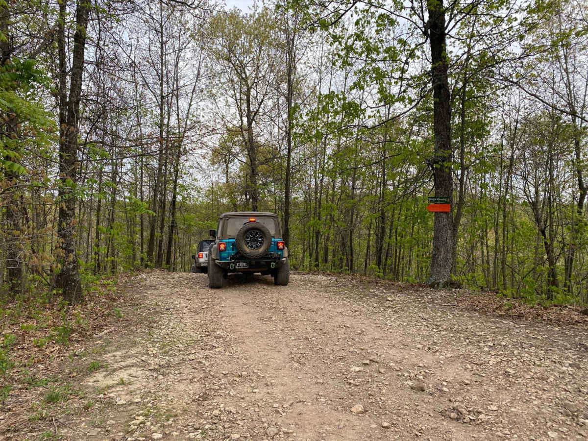 Cougar Crossing trail photo