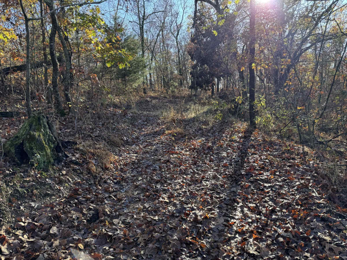 Green 110 trail photo