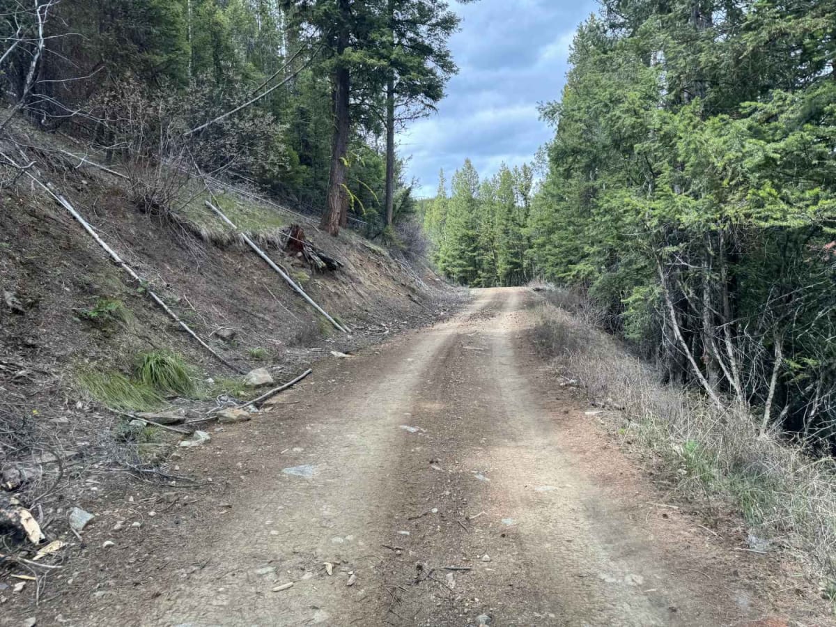 Railroad Creek trail photo