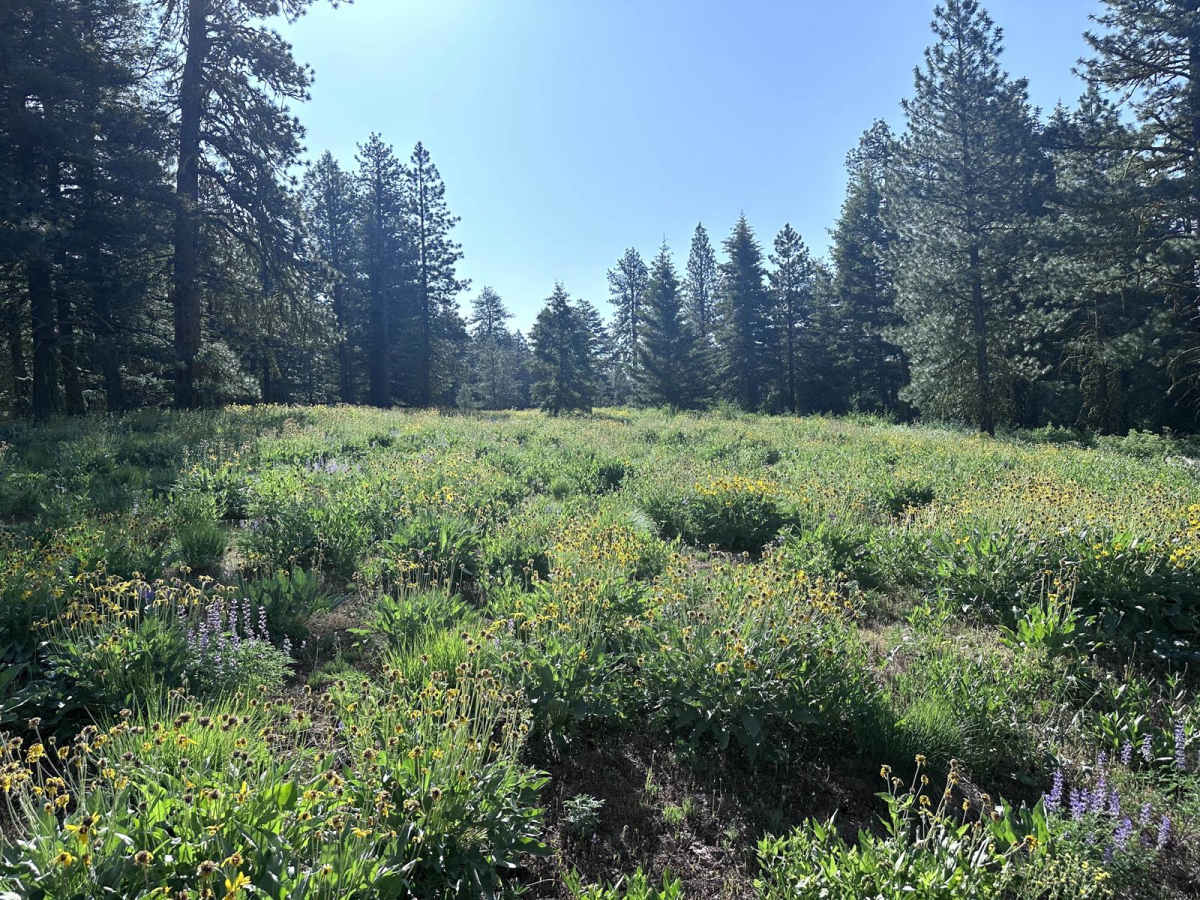 Beaver Creek trail photo