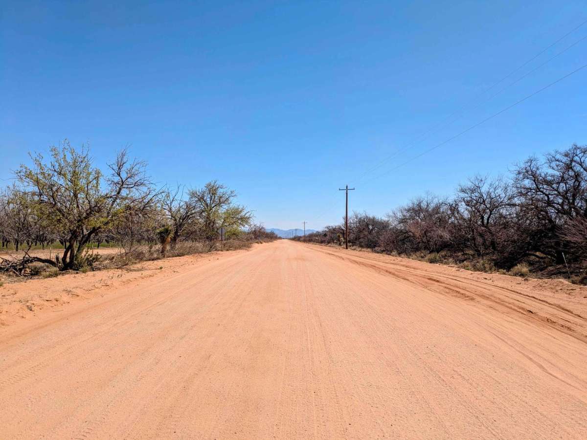 SS1181 photo 6