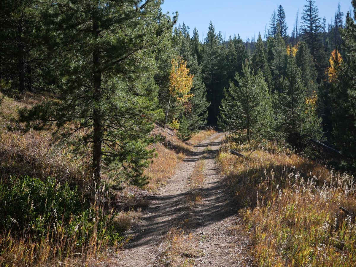 No See Um ATV Trail photo 2