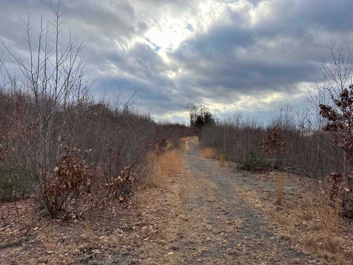 Ashland 180 trail photo
