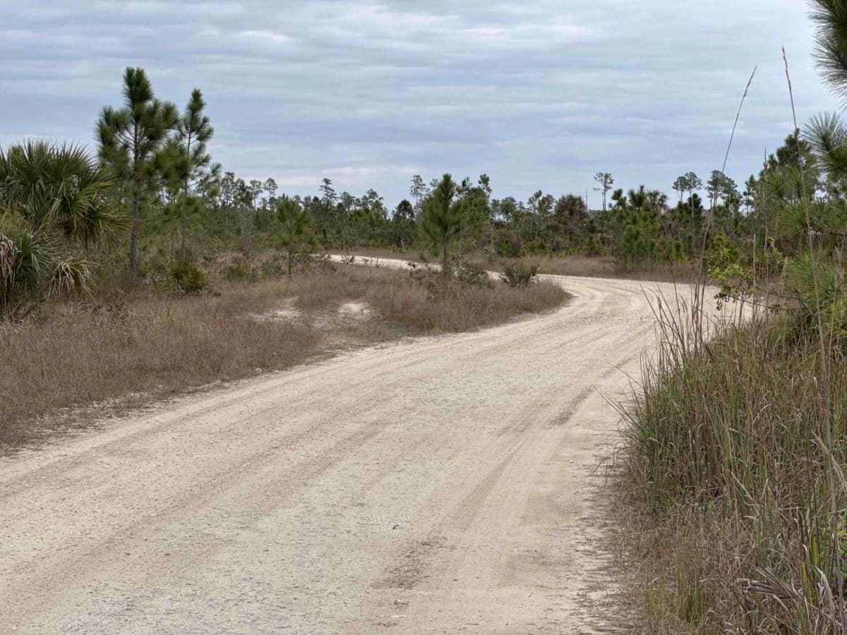 Triple G Loop South trail photo