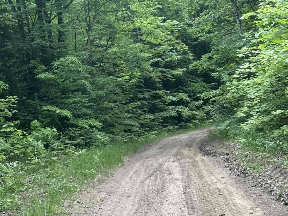 FS 510 to Ozark trail photo