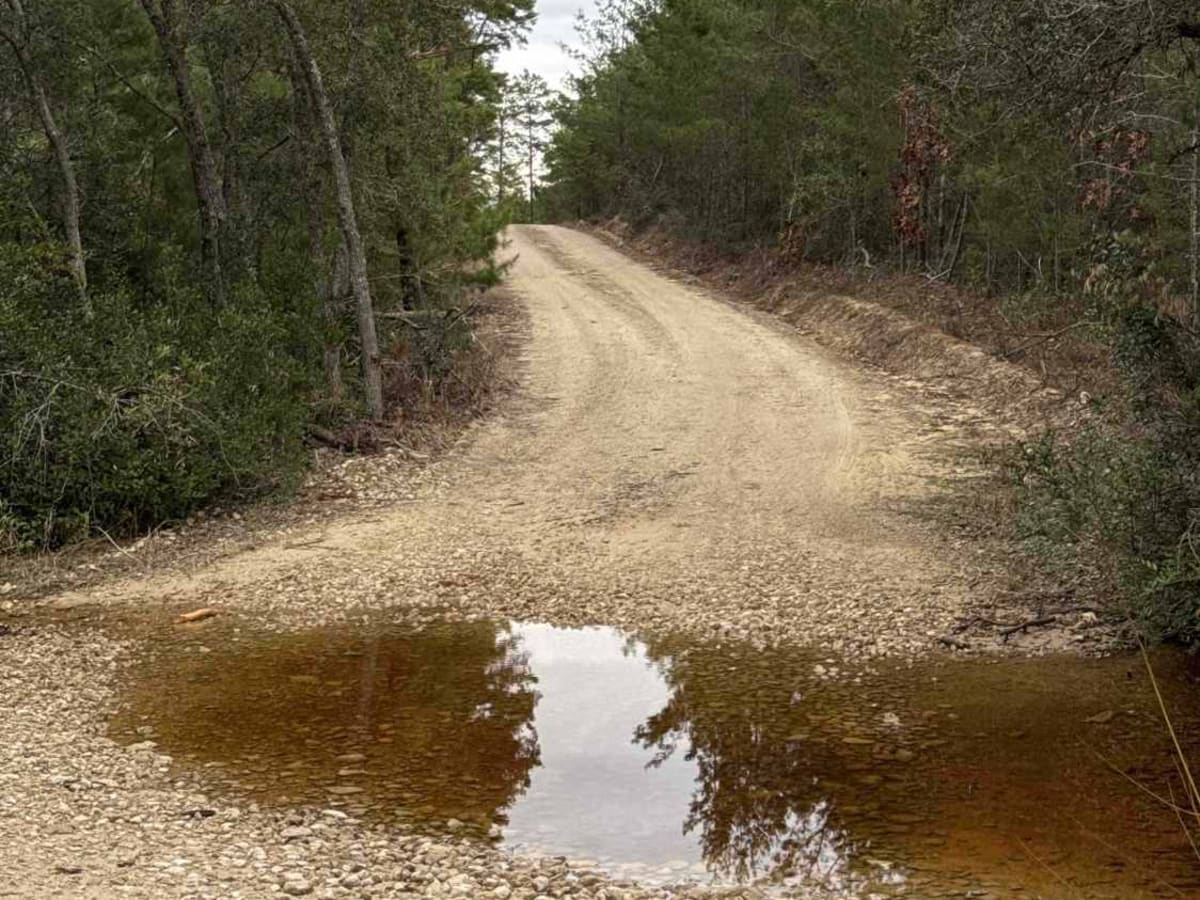 Silver Lake Road photo 6