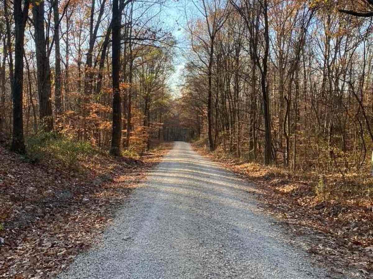 General Watkins Park Road photo 6