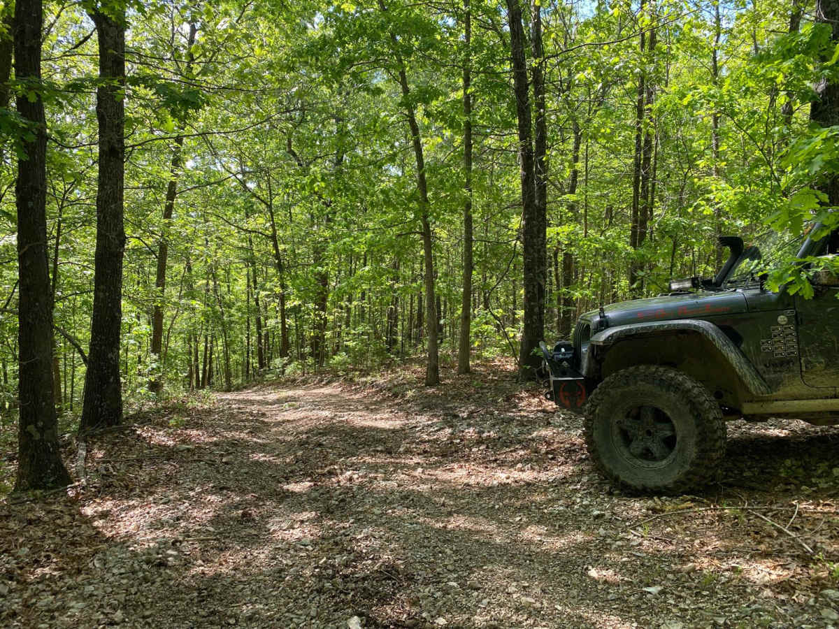 Old Crow trail photo