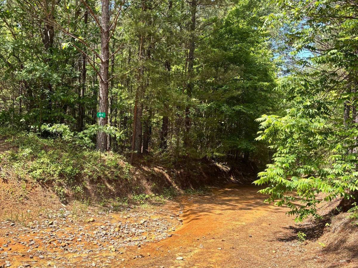 419 trail photo
