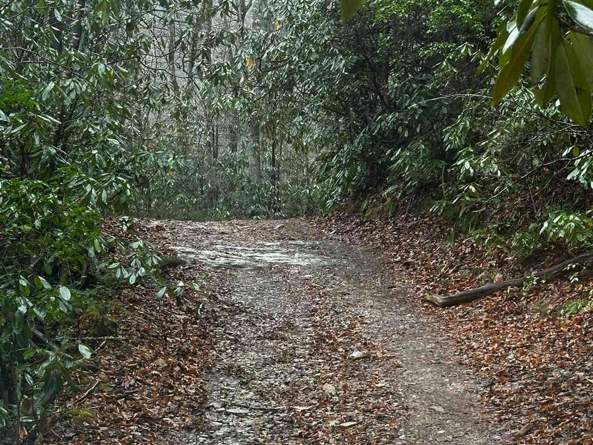 Honey Stand Road - FSR 184 photo 4