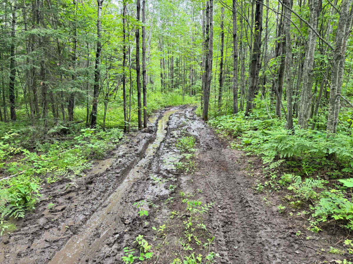 Rocky Start photo 5