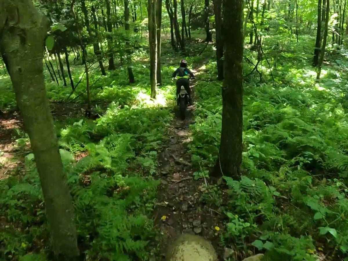 Mountain Ridge ATV Park Singletrack CB photo 5