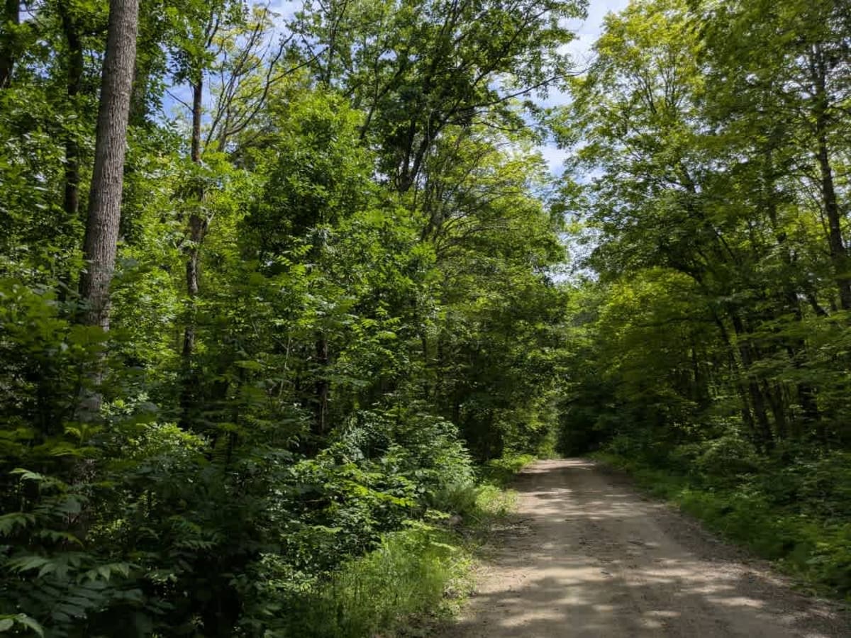 FS 2133 trail photo