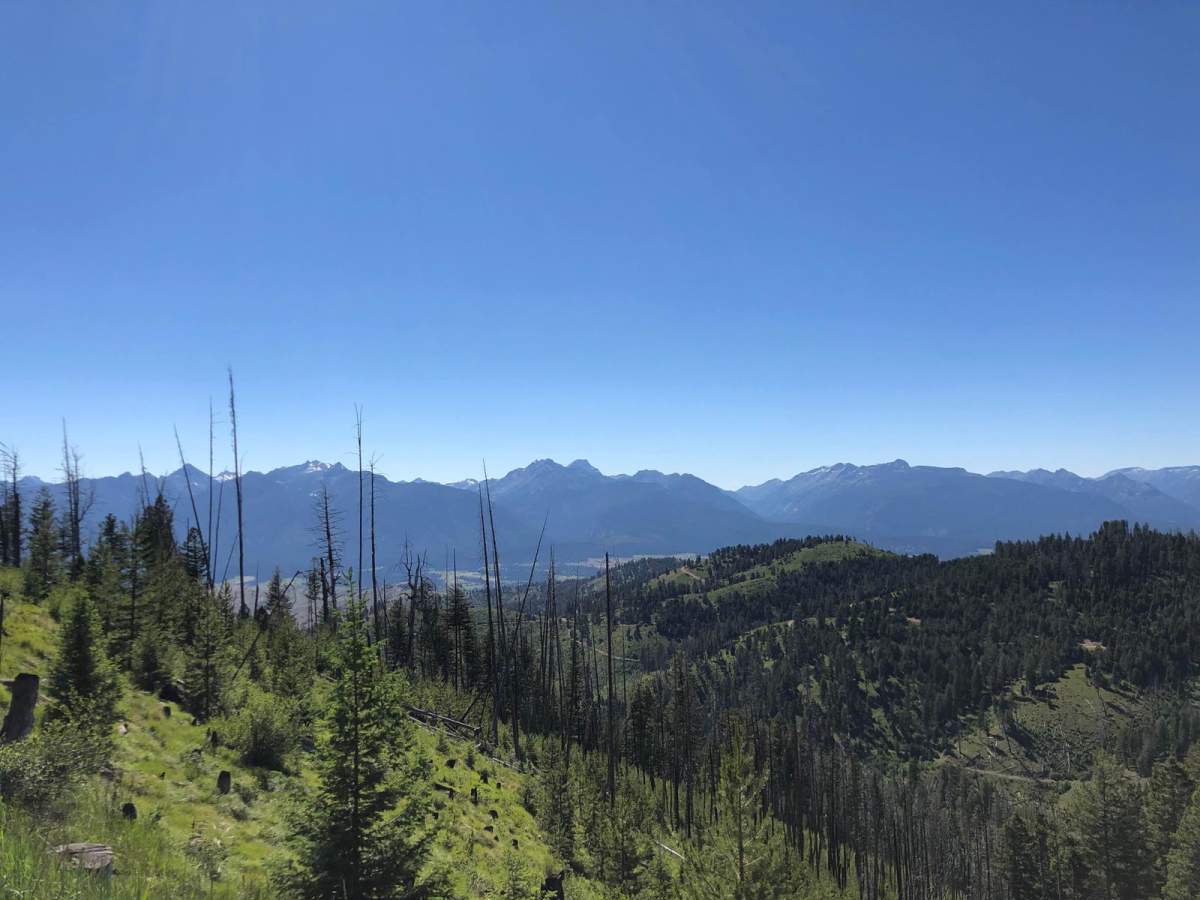 Deer Mountain trail photo